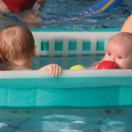 Okeo - Single Basket